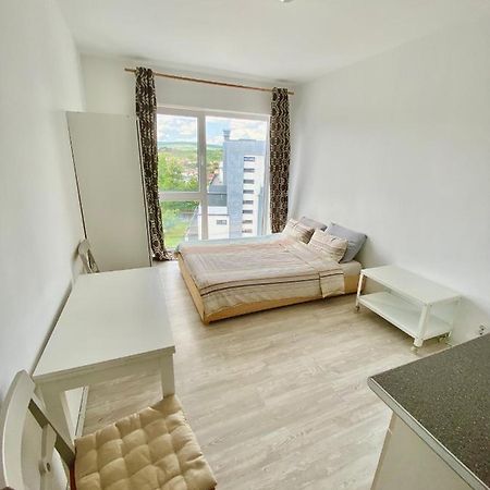 Cozy Studio Near The Center Of Cluj Extérieur photo