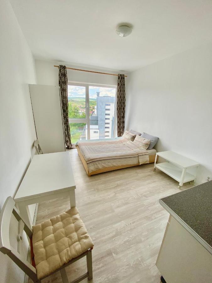 Cozy Studio Near The Center Of Cluj Extérieur photo